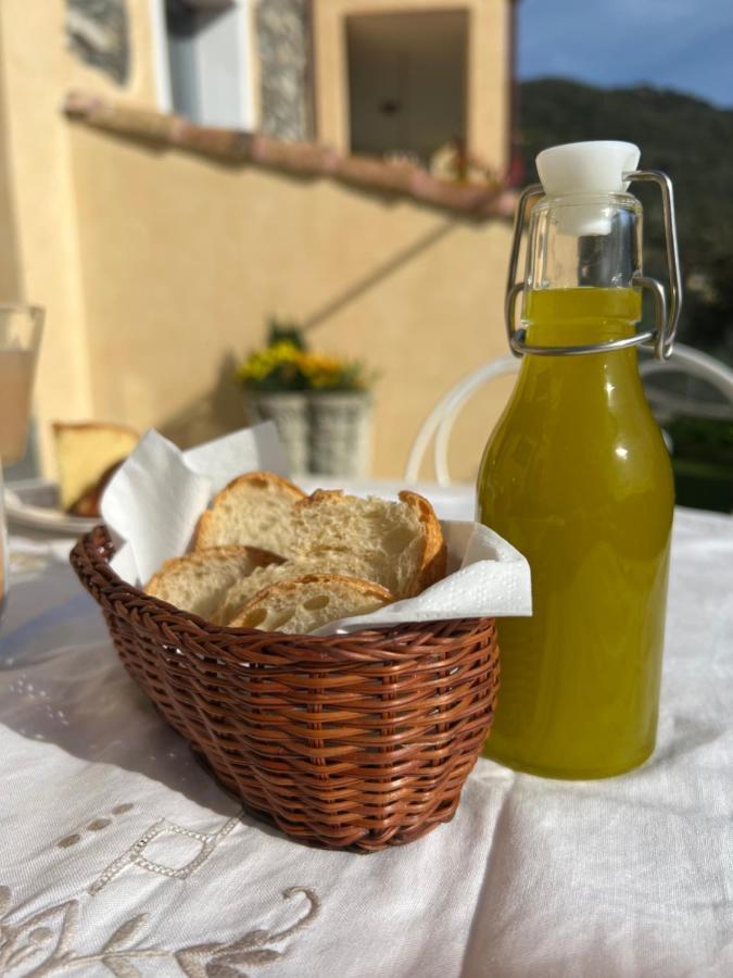 Agriturismo Le Merline Arnasco Ngoại thất bức ảnh