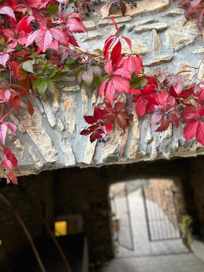 Agriturismo Le Merline Arnasco Ngoại thất bức ảnh
